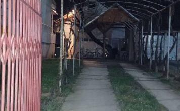 LAV POZNANIKU OTKRIO ŠOKANTNU STVAR O DEČACIMA PRE TRAGEDIJE “O tome niko ne priča! Bili smo zbunjeni, nismo znali ŠTA DA MISLIMO”