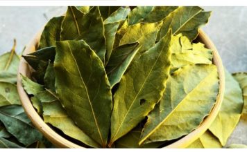 Stavite 1 lovorov list na noge i više ne morate trošiti novac u apoteci (Da li ste to znali?)