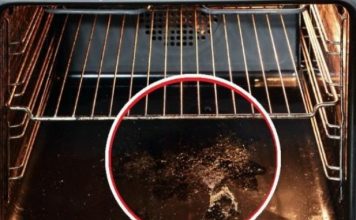 UBACITE 0VO U RERNU I UJUTRO ĆE BITI ČISTA: Superbrzi Trik Koji Uklanja Masnoću Bez Ribanja