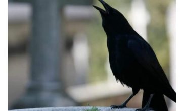 SIGNALI KOJE PREMINULE OSOBE ŠALJU: Poznati medij tvrdi da je to ZNAK da su tu i da nam žele nešto poručiti