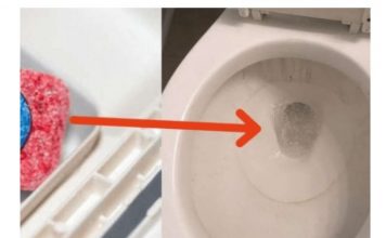 Uzmite 1 TABLETU i toalet je kao nov: Kućni trik koji nikad prije nisam znao!