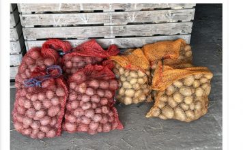 Deda ga je uvijek bacao u kesu sa krompirom i izdržali su do sledeće berbe: Ni jedan nije proklijao!