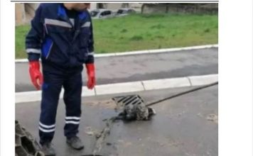 IZVUKLI “KAPITALCA” OD DVA METRA IZ KANALIZACIJE: Radnici ŠOKIRANI prizorom u naselju Vojvode Vlahovića! (FOTO)