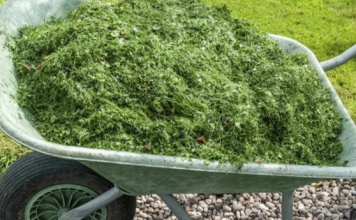 NIKAD NEMOJTE BACATI POKOŠENU TRAVU, samo uraditeovo! Bolje od 100 gnojiva