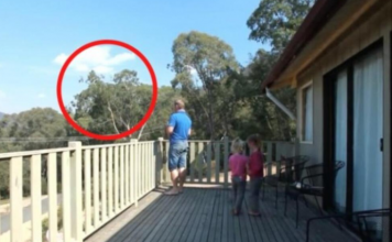 UHVAĆEN JE SA ĆERKAMA NA BALKONU, MAJKA ODMAH IZLETJELA: Vrištali su dok su to radili…. (VIDEO)