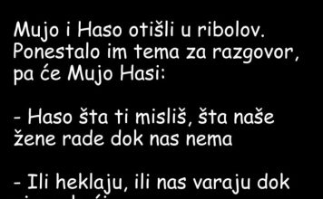 VIC DANA: Mujo i Haso u ribolovu