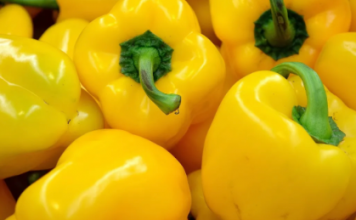 Tradicionalni recept za PAPRIKE PUNJENE KUPUSOM: Zimnica koja će vas podsjetiti na prošla vremena