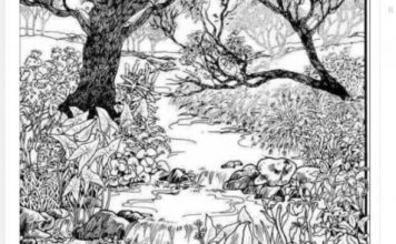 Mnogi su probali, ali nisu uspeli: Svako ko pronađe ženu na fotografiji ima natprosečnu inteligenciju