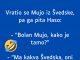 VIC DANA: Vratio se Mujo iz Švedske