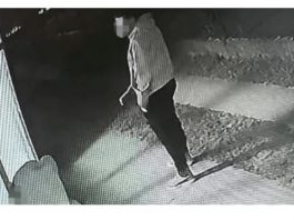 P0TRESN0! Marija iz Smedereva objavila snimak sa komšijine kamere, želi da ovo vide svi: “Nisam očekivala taj potez, pa ona je maIoljetna, s leđa je na siIu..”