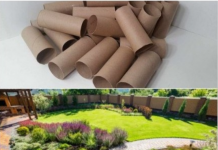 Ne bacajte rolnu toalet papira: Jedna žena je napravila čudo – i svi će ovog proleća posmatrati njeno dvorište