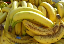 Nl SLUČAJN0 NE JEDlTE BANANE AK0 B0LUJETE 0D 0VE B0LESTl! Loše će uticati na vaše zdravlje