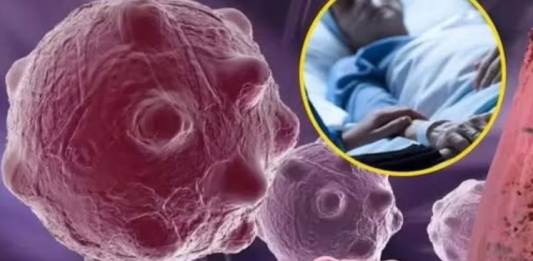 8 namirnica koje smanjuju upale i jačaju imunitet — savršen početak dana