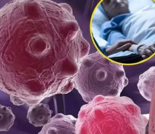 8 namirnica koje smanjuju upale i jačaju imunitet — savršen početak dana