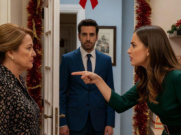 Granice pod borom: Kako je jedan Božić promijenio porodičnu dinamiku