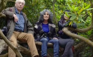 U DŽUNGLI SAM ZABORAVILA SVOJE I DA PRIČAM, POSTALA SAM DEO MAJMUNA, PA ZAVRŠILA U BORDELU: Marinin život je neverovatan