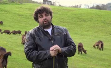 Troje dece i 1.800 koza: Zavirite na seosko imanje Branka Jankovića i njegove supruge, takođe glumice FOTO