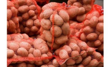 Moj djed bi ih obavezno bacio u vreću pored krumpira, osiguravajući im dugovječnost do sljedeće berbe. Zanimljivo, niti jedan od njih nije pokazao nikakve znakove nicanja! (fotografija)