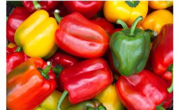 OSTAVLJANJE PAPRIKA U ZAMRZIVAČ…UKOLIKO JEDNOM PROBATE OVAKO, SIGURNA SAM DA VIŠE NEĆETE OSTAVLJATI ŽIVE PAPRIKE