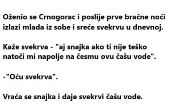 VIC DANA: Snajka i svekrva