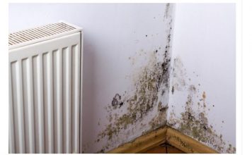 KUĆA VAM SMRDI NA VLAGU, ZIDOVI SE CRNE?? EVO kako da se REŠITE ove NAPASTI, kao da je nikad nije bilo!