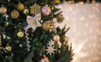 Jelka mora biti na ovom mestu ako želite privući zdravlje, bogatstvo, sreću i ljubav u 2025: Tu je energija najmoćnija