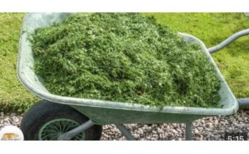 Zlata je vredan- Molimo vas da ne bacate pokošenu travu! Evo za što ga možete koristiti