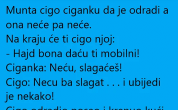 VIC DANA !!!CIGO I CIGANKA