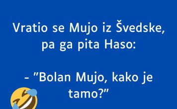 VIC DANA: Vratio se Mujo iz Švedske