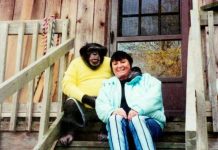 Sandra se godinama kupala i spavala sa šimpanzom ne sluteći šta će joj se desiti: Od užasa koji je doživela ni danas se nije oporavila