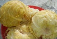 Ukiselili ste kupus, a NISTE DODALI OVU VOĆKU: Brzo u kacu ubacite samo 2 KRIŠKE – Bit ćete nam zahvalni (RECEPT)