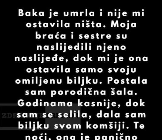 “Baka je umrla i nije mi 0stavila ništa. Moja braća i sestre su naslijedili njeno naslijeđe…”