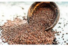 Drevni čuvar zdravlja: Ovo moćno seme sprečava rak, čisti krvotok, štiti srce i pluća i jača imunitet do maksimuma!