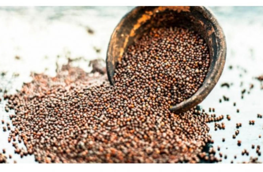 Drevni čuvar zdravlja: Ovo moćno seme sprečava rak, čisti krvotok, štiti srce i pluća i jača imunitet do maksimuma!