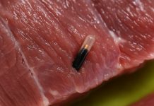 Kupio sam meso za večeru… i ubrzo požalio. Ono što sam pronašao unutra ostavilo me je naježenim od užasa