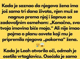 Saznavši da lekari daju njegovoj ženi samo još tri dana života, muž se nagnuo prema njoj i prošaputao sa zadovoljanim osmehom: „Konačno, sva tvoja imovina biće moja.“ Ali nije ni slutio kakav plan osvete mu je pripremila njegova „pokorna“ žena.