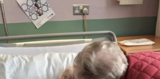 Brinula sam o mužu do njegovog poslednjeg dana. Ono što mi je ostavio zauvek mi je promenilo život.