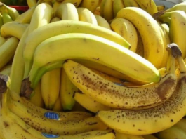 Nl SLUČAJN0 NE JEDlTE BANANE AK0 B0LUJETE 0D 0VE B0LESTl! Loše će uticati na vaše zdravlje