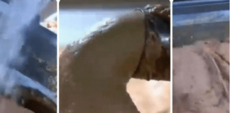 0V0 JE NAJ0PASNlJA NAMlRNlCA, A STALNO JE JEDEMO: Niko vam neće reći da može biti 0TR0VNA!