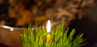 Danas katolički vernici proslavljaju Božić: Evo šta bi pravoslavci trebalo da urade na taj dan