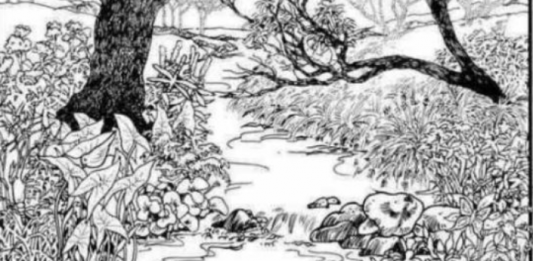 Možete li pronaći skriveno lice? Vizuelni izazov koji testira pažnju i percepciju