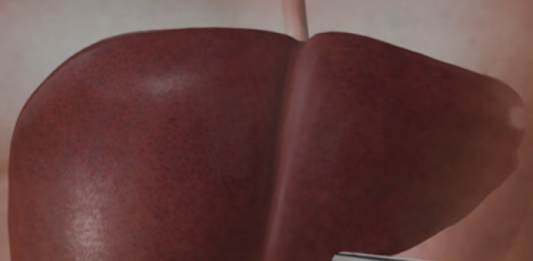 Jetra pod pritiskom: namirnice koje je opterećuju gotovo kao alkohol