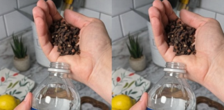 Uzmite čašu sirćeta, običnih karanfilića i dobro sačuvajte ovaj domaći trik: KORISTIM GA GODINAMA I PREPORUČUJEM SVIMA!