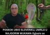 Poznati zmijolovac otkrio šta da uradite ako vas ujede zmija: Ovako prepoznajte otrovnicu od bezopasne vrste