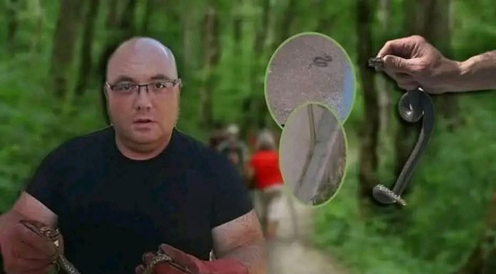 Poznati zmijolovac otkrio šta da uradite ako vas ujede zmija: Ovako prepoznajte otrovnicu od bezopasne vrste