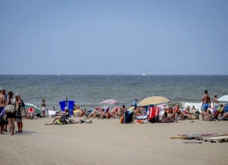 Srbi se zacenjuju od smeha zbog onoga što je ova žena OBULA NA PLAŽI: Kada je izašla iz plićaka, usledio je apsolutni ŠOK SEZONE – “Gospođa se ne postaje, gospođa se rađa”
