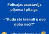 VIC DANA: Policajac i pijanac