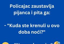 VIC DANA: Policajac i pijanac