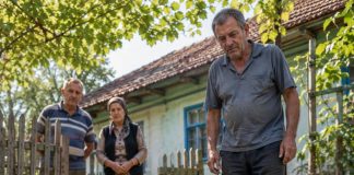 Tri dana zaredom jedna je vrana dolazila u isto dvorište i neprestano graktala pokraj starog poklopca kanalizacijskog šahta. Kad su ljudi napokon shvatili što im pokušava reći, ostali su bez riječi…