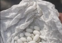 Pronašla sam čudne bijele kuglice u ruksaku svoje 15-godišnje ćerke: kaže da su to samo bomboni, ali joj ne vjerujem..